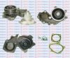 TEMOT 854400 Water Pump